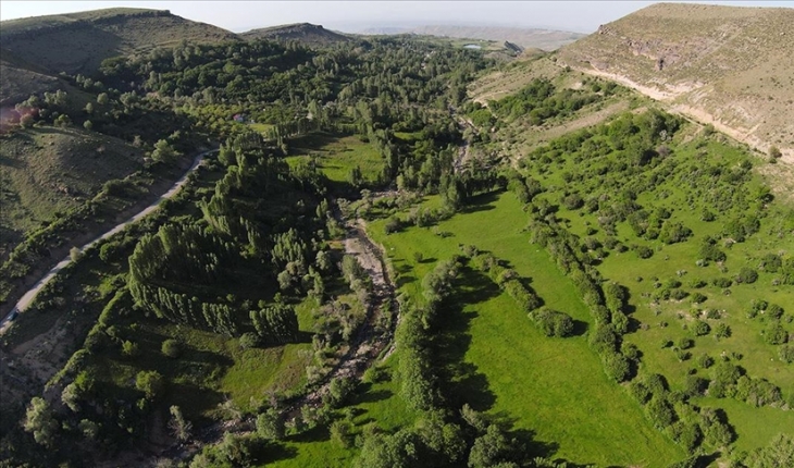 Iğdır'ın Üçkaya Vadisi yeşiliyle Karadeniz'i andırıyor