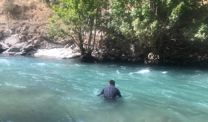 Siirt'te Müküs Çayı'na düşen hemşireyi arama çalışması sürüyor