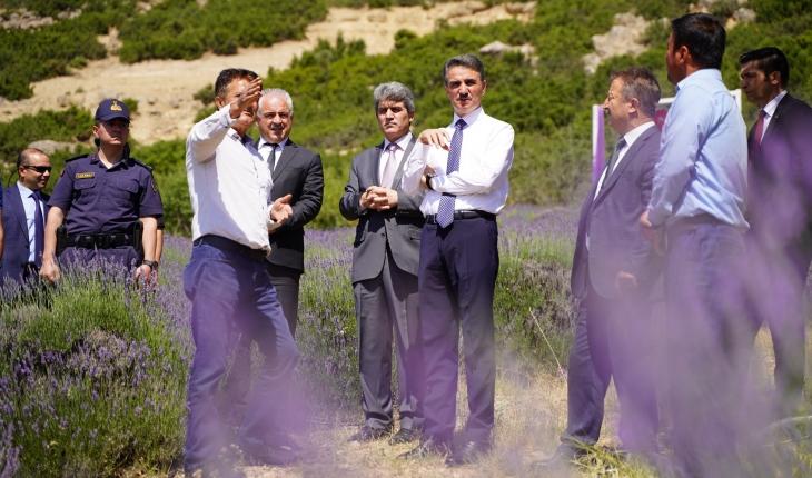 Isparta'da Lavanta Festivali 22 Temmuz'da başlayacak