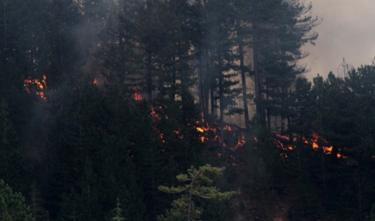 81 il valiliğine yeni genelge: Ormanlara giriş yasaklandı