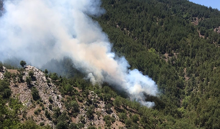 Adana'da çıkan orman yangınına müdahale ediliyor 