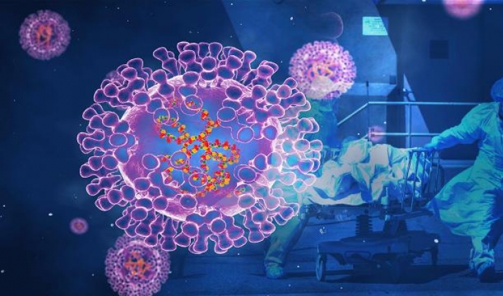 DSÖ'den maymun çiçeği temaslılarına 'seyahatten kaçınma' çağrısı