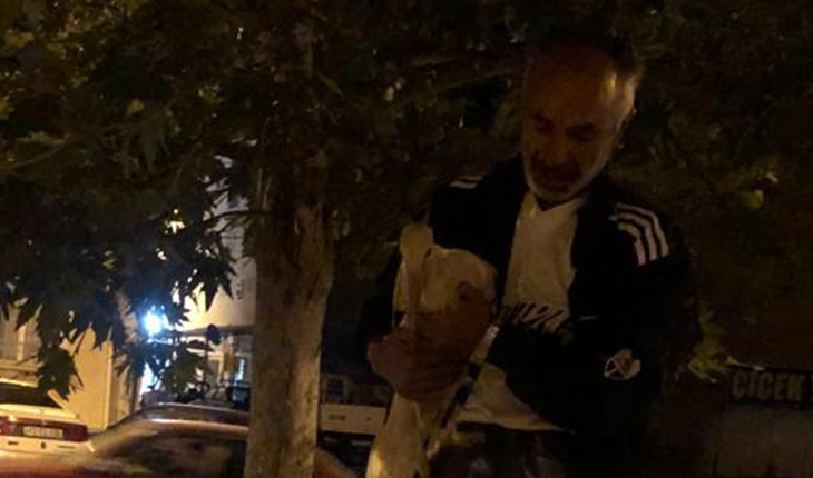 Seydişehir’de yaralı leyleğe belediye ekipleri sahip çıktı