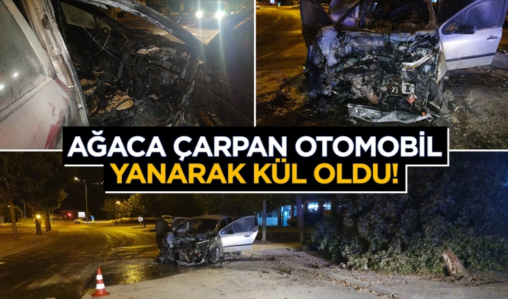 İtfaiye faciayı önledi! Ağaca çarpan otomobilin alev topuna döndü