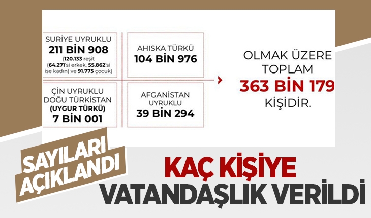 Türk vatandaşlığı kazananların sayısı yayınlandı
