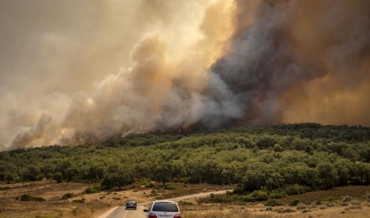 Fas'ın kuzeyindeki orman yangınları 3 gündür devam ediyor
