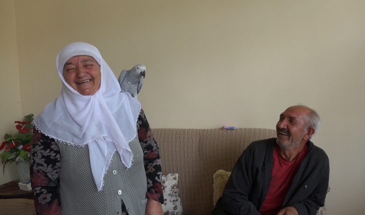 3 gün önce kaybolan papağanları “Sultan“a kavuşan çift mutluluk yaşadı