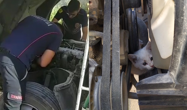 Kamyonetin motoruna sıkışan kedi kurtarıldı 