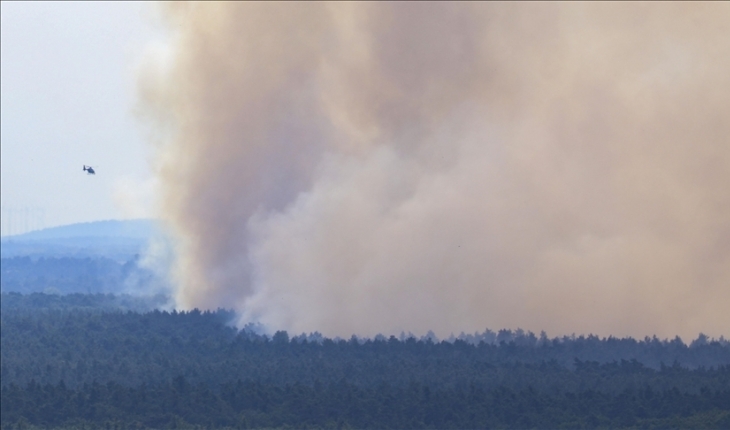 Almanya’da çıkan orman yangını nedeniyle acil durum ilan edildi