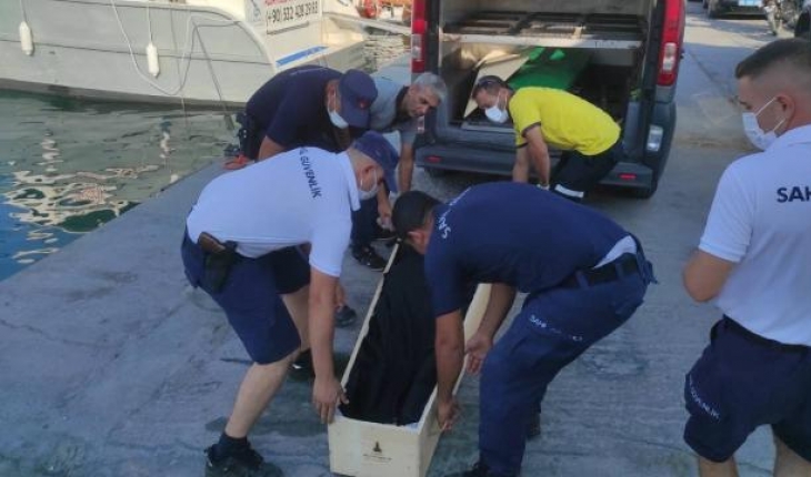 Türk kara sularına itilen göçmenlerden 1'i öldü, 6'sı kurtarıldı