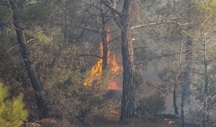  Mersin'deki orman yangınına müdahale sürüyor