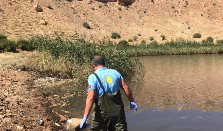 Obruk Gölü'nde suyun çekilmesiyle oksijensiz kalan balıklar telef oldu