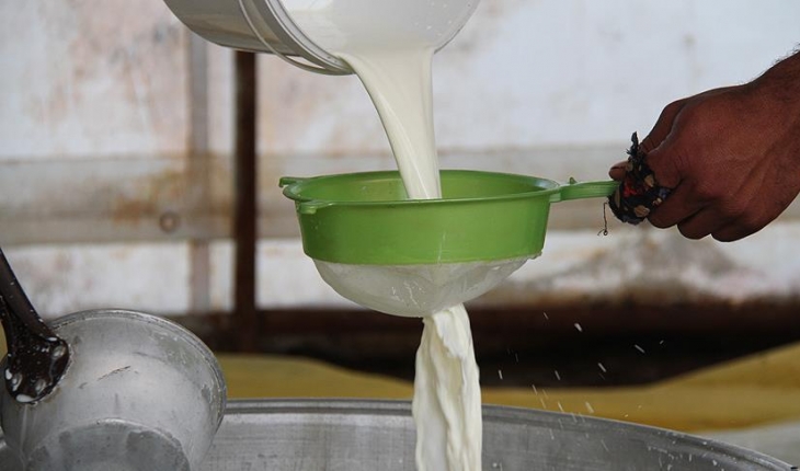 1,1 milyar liralık çiğ süt desteği ödemeleri başladı