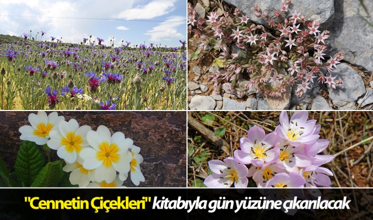 Konya’da 260 bitki ve çiçek “Cennetin Çiçekleri“ kitabıyla gün yüzüne çıkarılacak