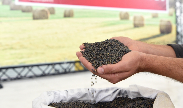 Çiftçilere yüzde 50 hibeli Macar fiği tohumu ve korunga desteği