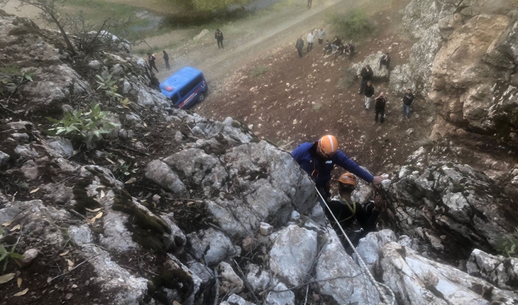 Dik kayalıklarda mahsur kalan keçileri AFAD'ın özel dağcı ekibi kurtardı