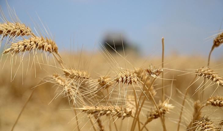 Kurak geçen sonbahar hububat ekimini olumsuz etkileyebilir