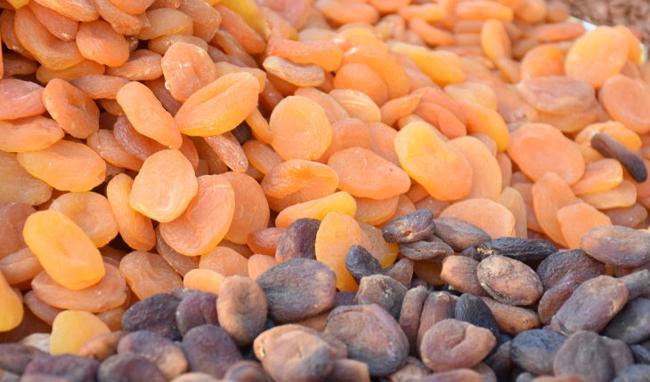 Malatya'dan 10 ayda 301 milyon dolarlık kuru kayısı ihracatı yapıldı