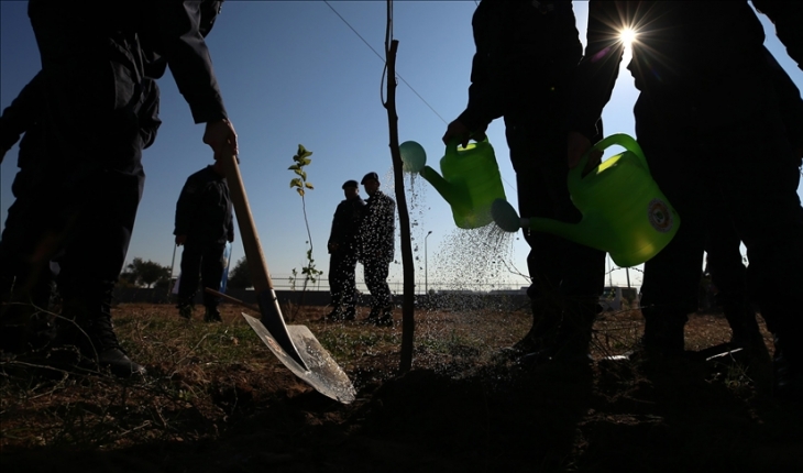 "Milli Ağaçlandırma Günü"nde fidanlar toprakla buluşturuldu