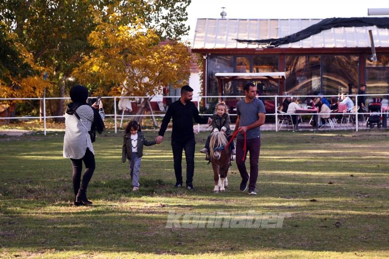 Şampiyon atların yetiştiği çiftlik sonbaharda ziyaretçilerin uğrak yeri oldu