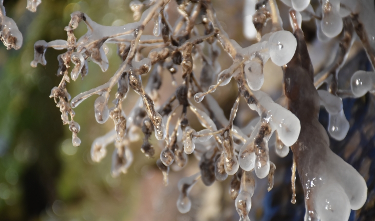 Doğu Anadolu'da soğuk hava etkisini sürdürüyor