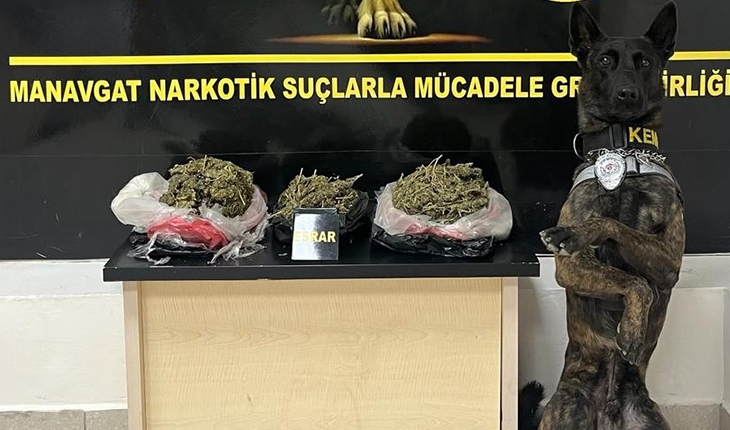 Aferin Pars!  Tam 2 kilo 240 gram