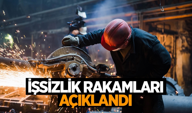 İşsizlik rakamları açıklandı