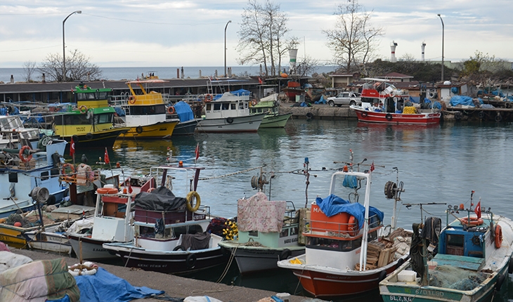 Batı Karadeniz’de balıkçılar hamside umduğunu bulamadı