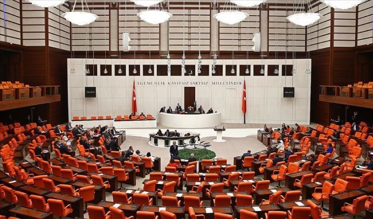 TBMM Genel Kurulunda "6 yaşındaki kız çocuğuna istismar iddiası" tartışması