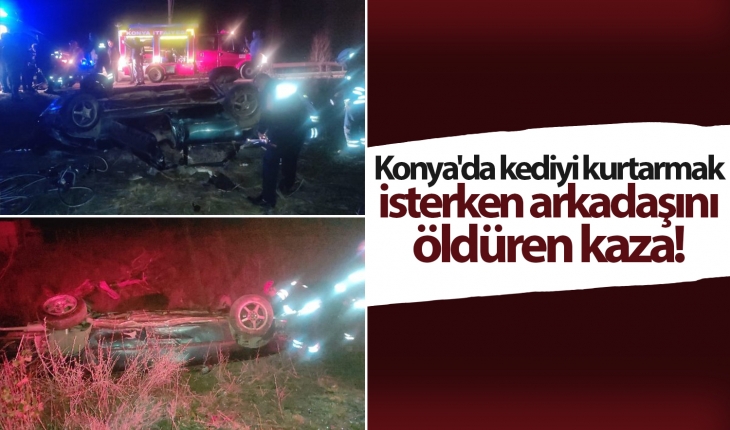 Konya'da kediyi kurtarmak isterken arkadaşını öldüren kaza!