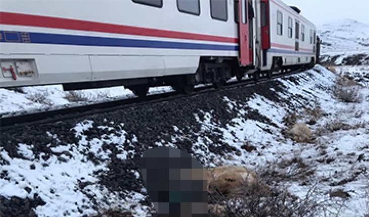 Trenin çarptığı çoban öldü