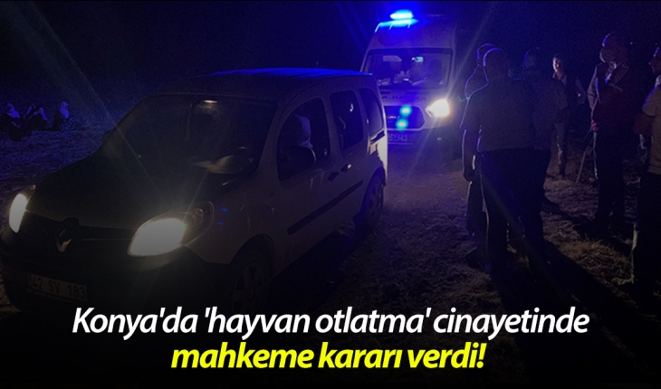Konya'da 'hayvan otlatma' cinayetinde mahkeme kararı verdi! 