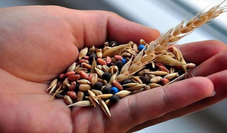 Türkiye, tohum sektöründeki başarısıyla bölge ülkelerinin takdirini topluyor