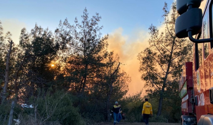 Orman yangını 5 saatte söndürüldü!