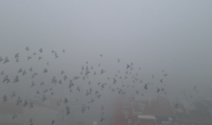 Cihanbeyli'de etkili sis