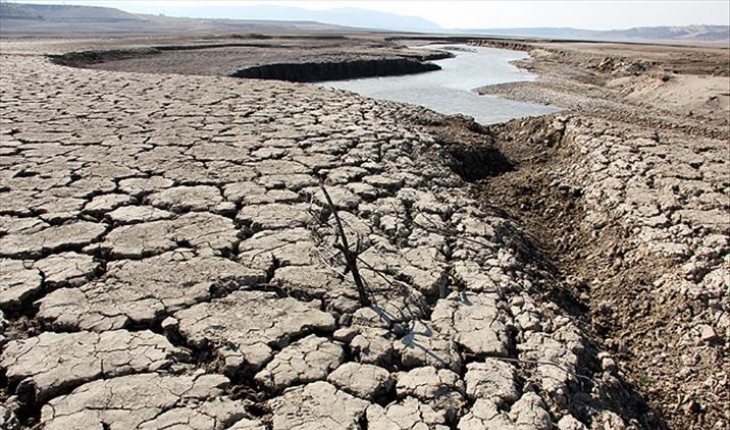 Türkiye'nin buğday ambarı Konya'da kuraklık tehlikesi! Yağışlar yüzde 50,3 azaldı