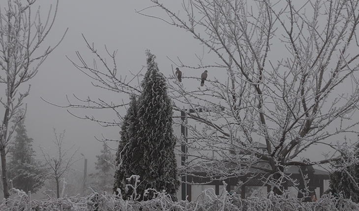 Cihanbeyli'ye mevsimin ilk karı düştü