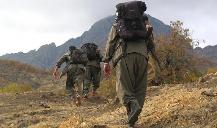 Polisin ikna çalışmalarıyla 5 PKK'lı terörist teslim oldu