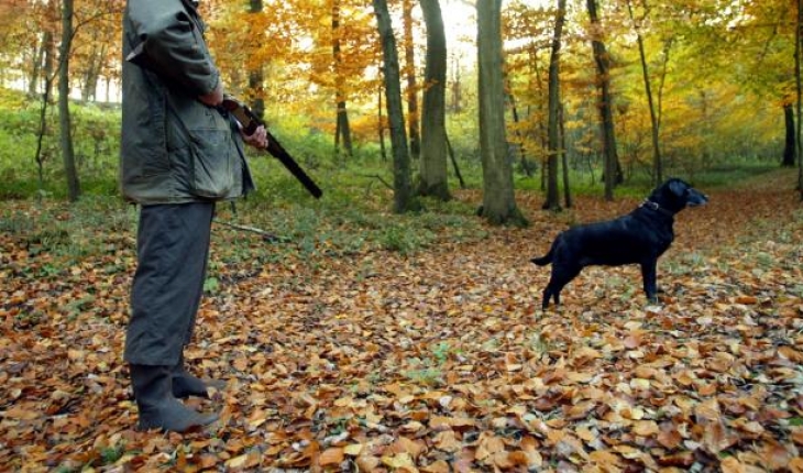 ABD’de tüfeğin tetiğine basan köpek, sahibini öldürdü