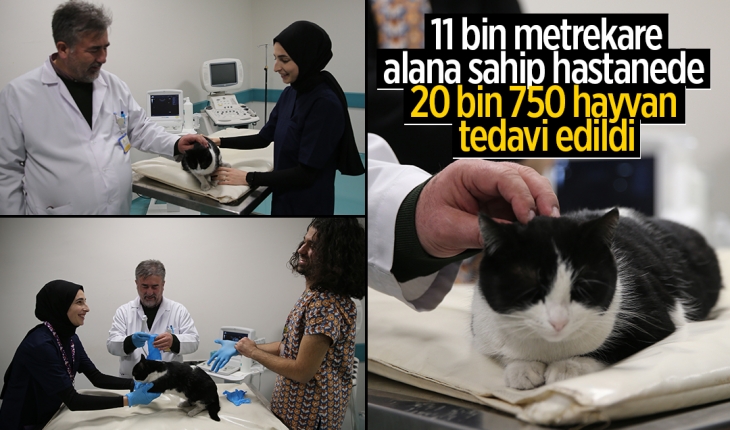 11 bin metrekare alana sahip hastanede 20 bin 750 hayvan tedavi edildi