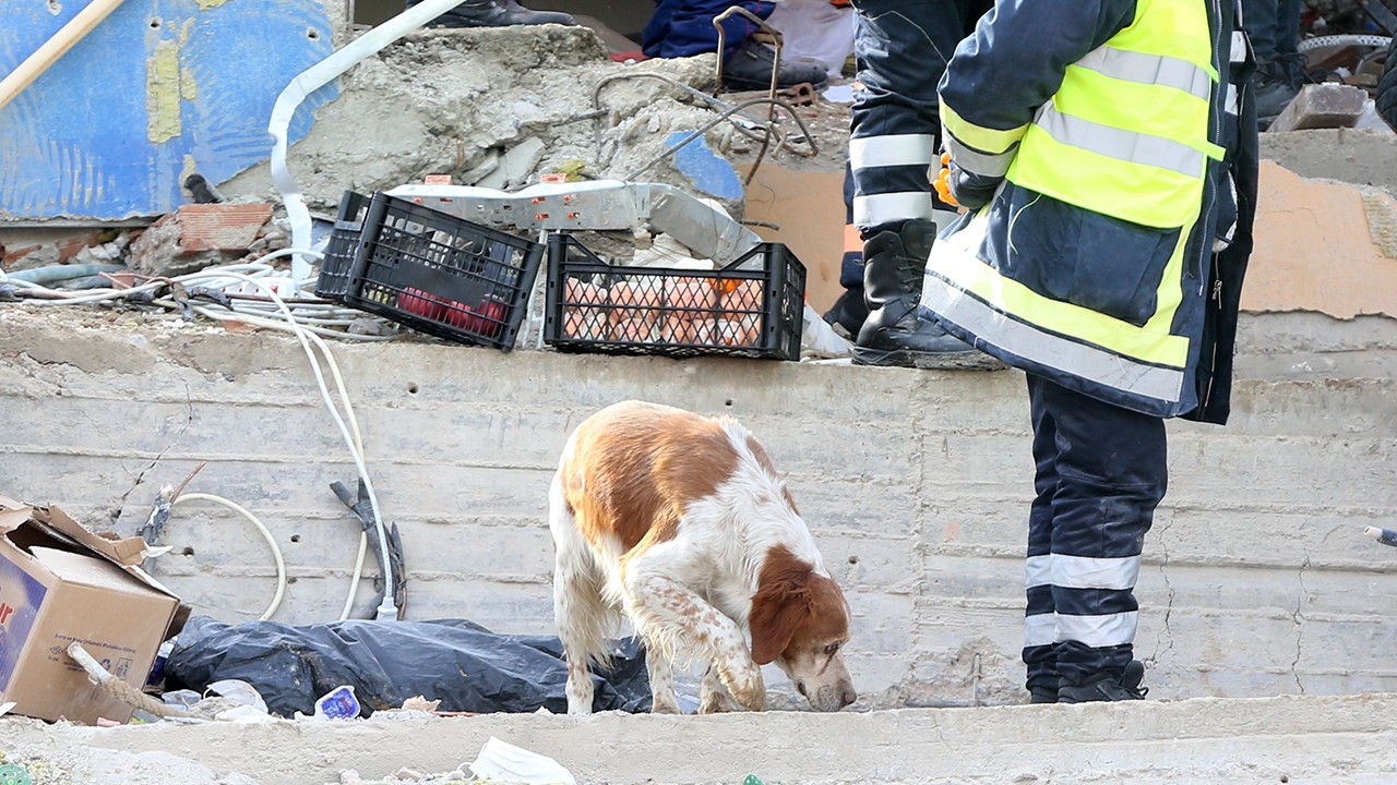 Malatyalı depremzede, av köpeği “Alex“ ile kurtarma çalışmalarına katılıyor