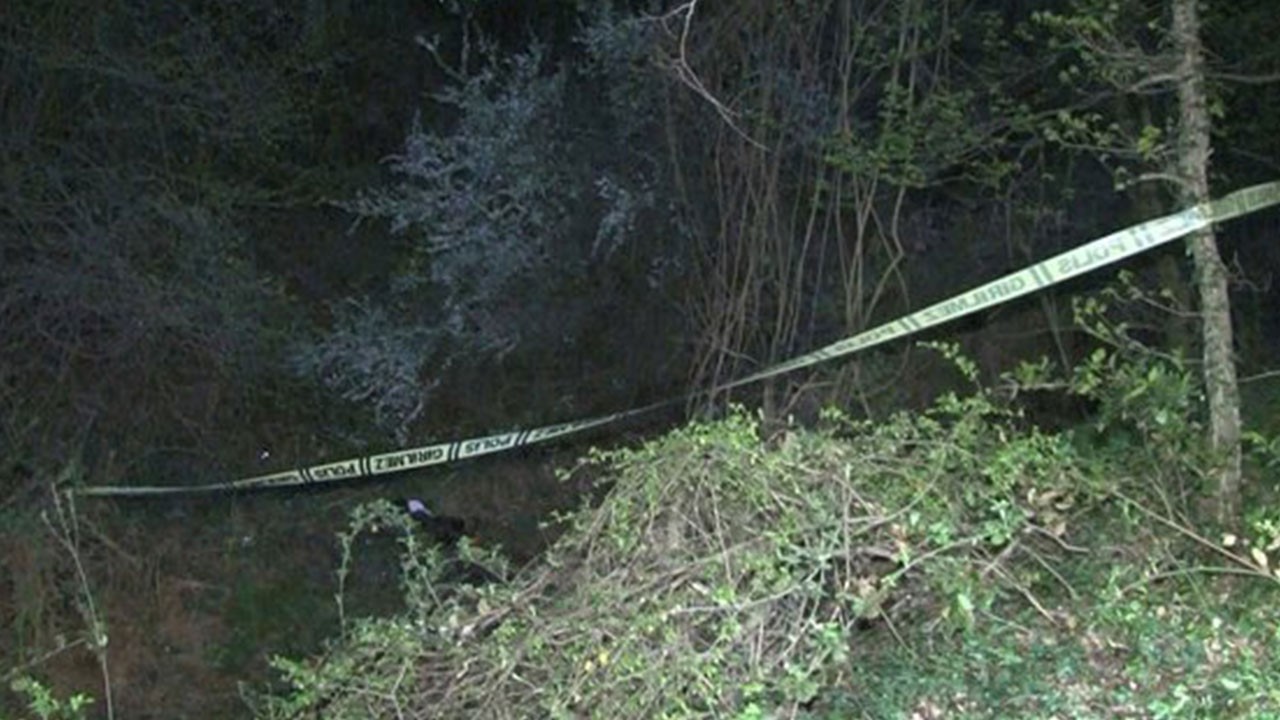 Ormanlık alanda erkek cesedi bulundu