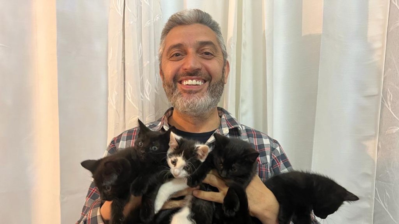 ABD’de kedi sevdalısı, yavruları “depremzedelere bağış” şartıyla sahiplendiriyor