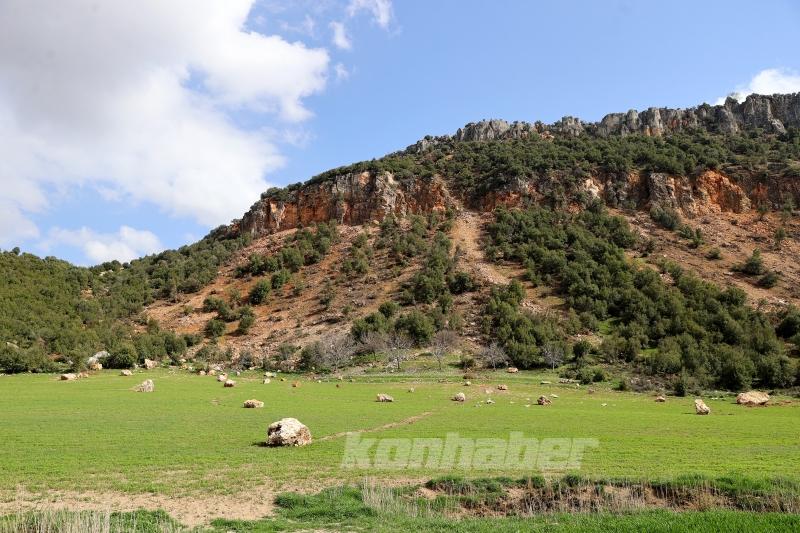 Kahramanmaraş’ta buğday tarlalarına yuvarlanan kayalar depremlerin etkisini gösteriyor