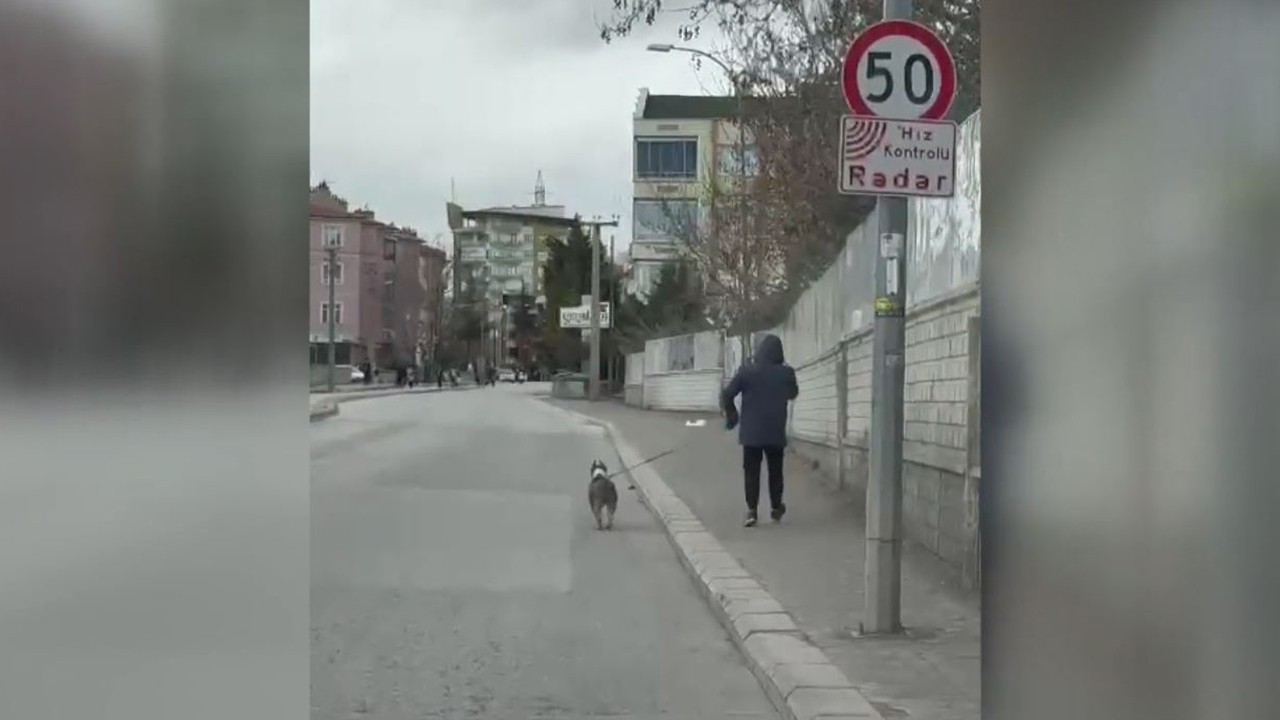 Konya’da yasaklı ırk köpek besleyen iki kişiye 100 bin 197 lira ceza