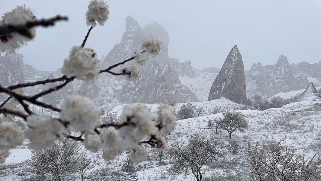 Kapadokya’da etkili olan kar yağışı, baharda açan çiçekleri beyaz örtüyle kapladı