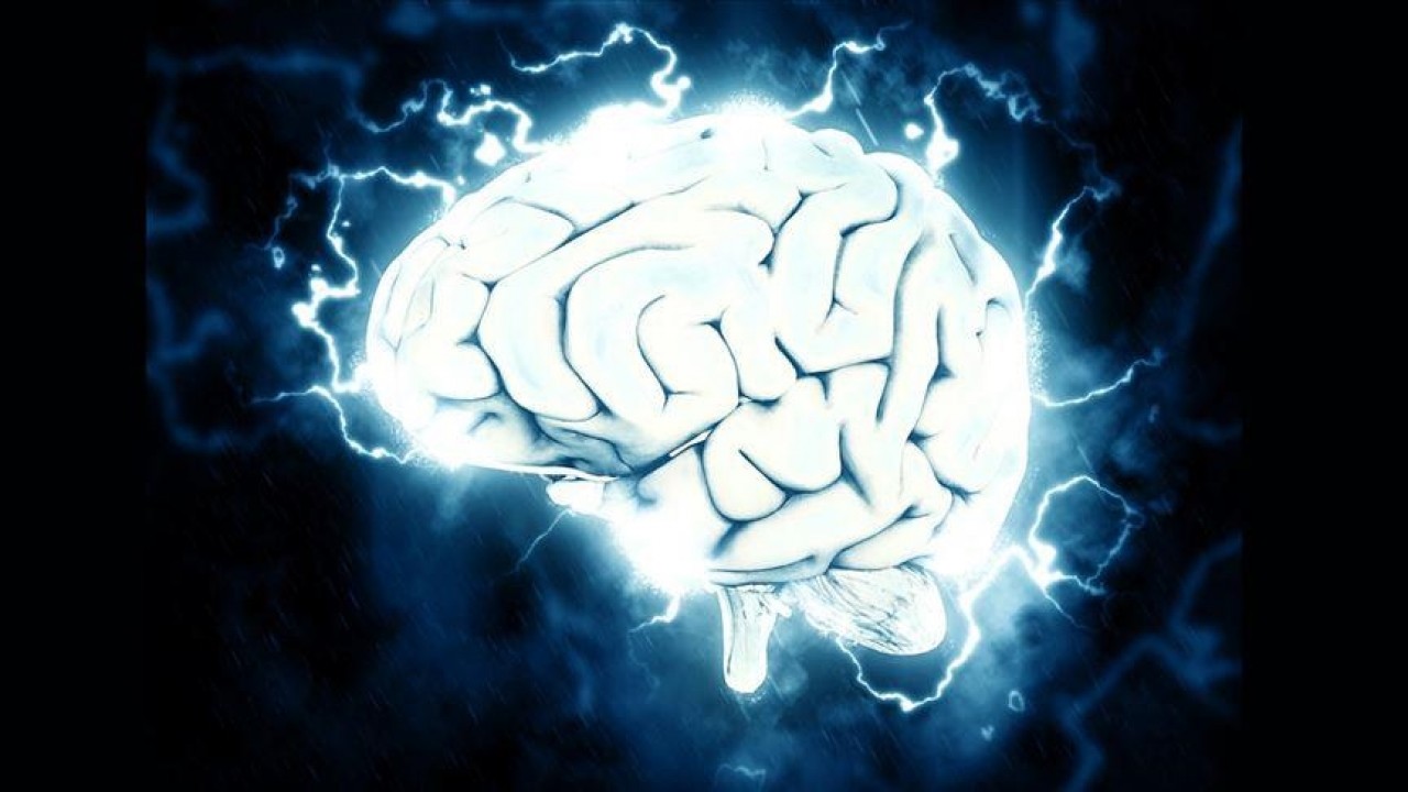 Bilim insanları beyindeki “iç pusulanın“ nasıl çalıştığını tespit etti