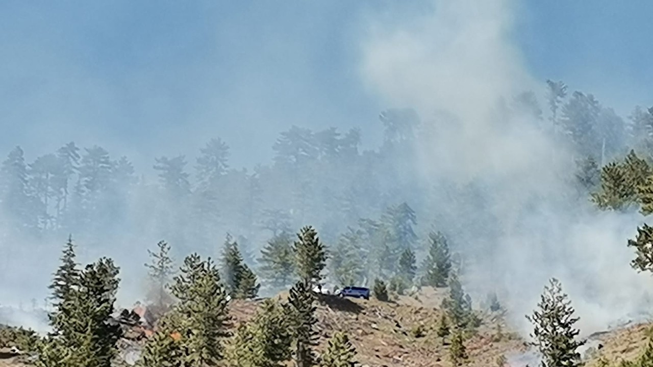 Konya'da orman yangını! 1 hektar alan yandı
