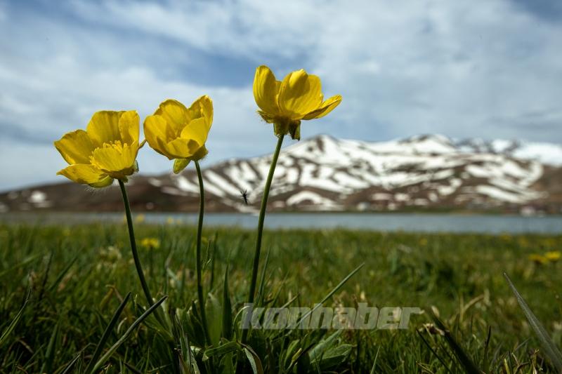 Antalya’nın Alpleri olan Geyik Dağı