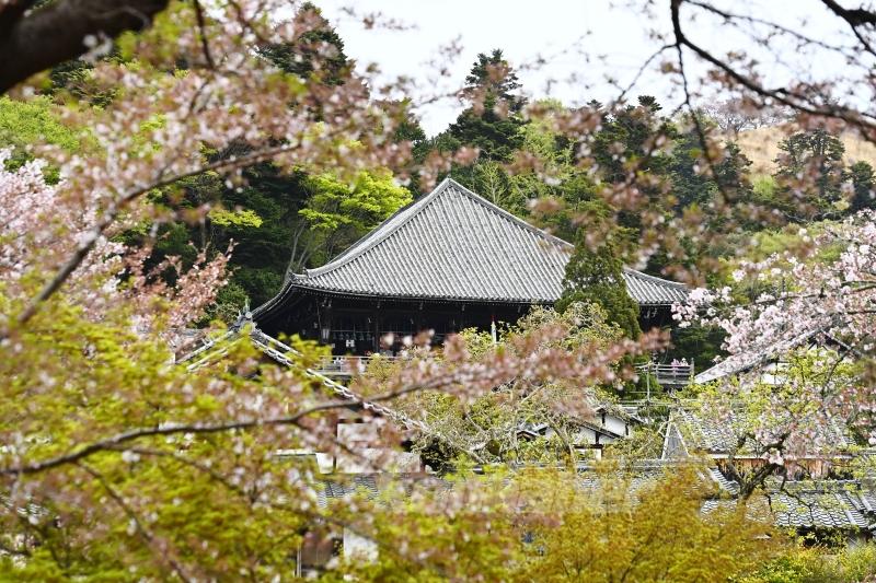 Japon kültürünün beşiği: Nara